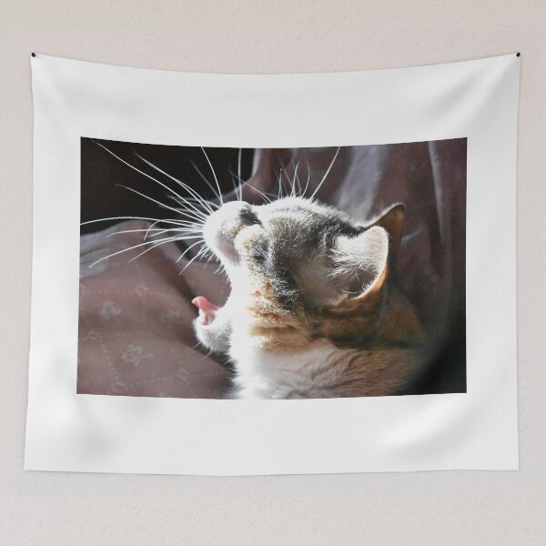 Item preview, Yawning kitty designed and sold by chrispricephoto.
