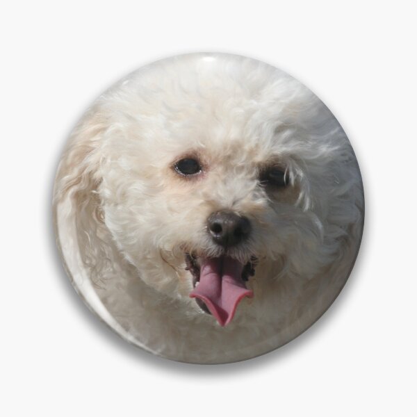 Item preview, Bichon Frise Dog designed and sold by ritmoboxers.