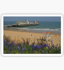 Bournemouth 'Bells Sticker