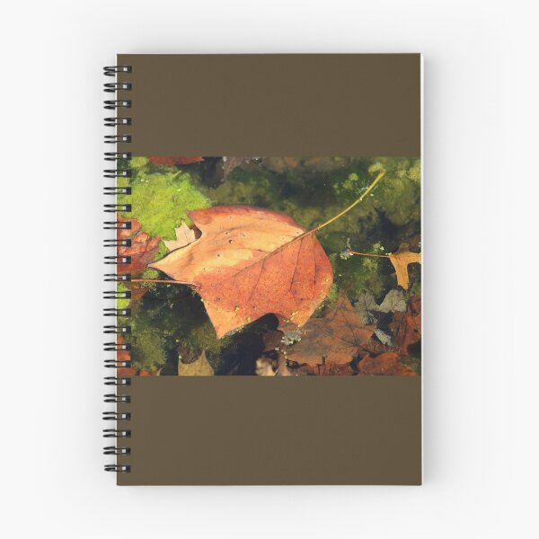 Item preview, Fallen Maple Leaf in Pond designed and sold by anitahiltz.