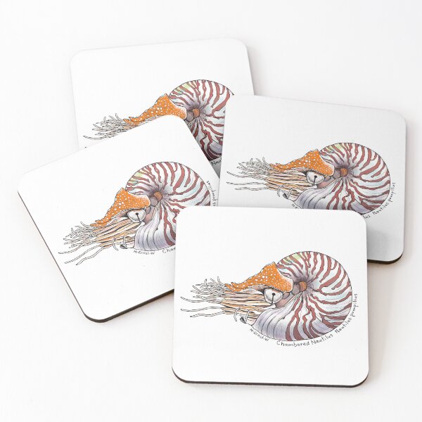 Item preview, Chambered Nautilus - white designed and sold by mernstw.
