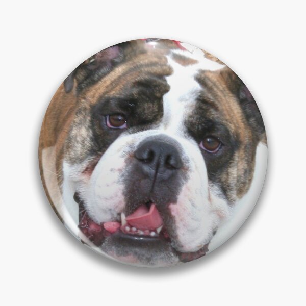 Item preview, Bulldog designed and sold by ritmoboxers.