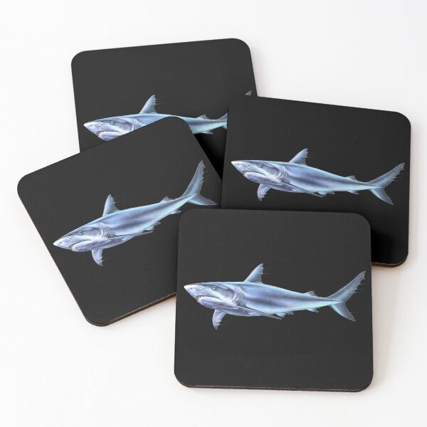 Aperçu de l'œuvre Requin à pointe noire créée et vendue par Salmoneggs.
