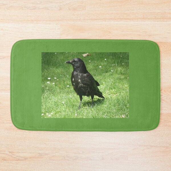 Item preview, Clever Carrion Crow on Green Grass Photograph designed and sold by naturegallery.