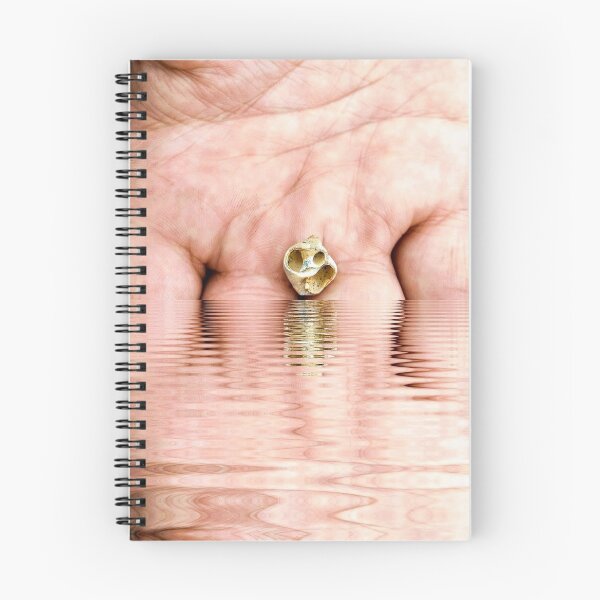 Item preview, Snailhouse in hand designed and sold by Ioka.
