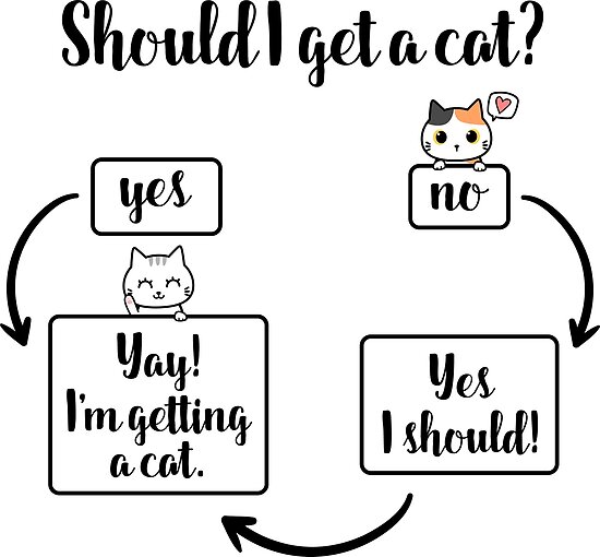"Should I get a cat?" Poster by SillyTees Redbubble