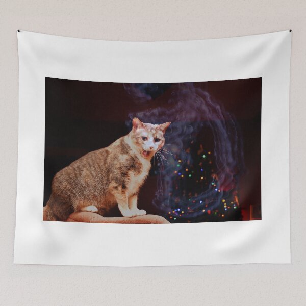 Item preview, Surprised Kitty at Christmas designed and sold by chrispricephoto.