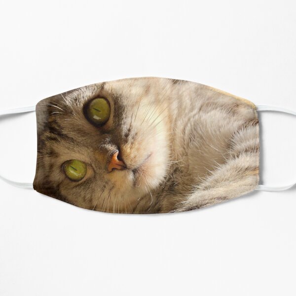 Soft Warm Kitty Dreaming Mask