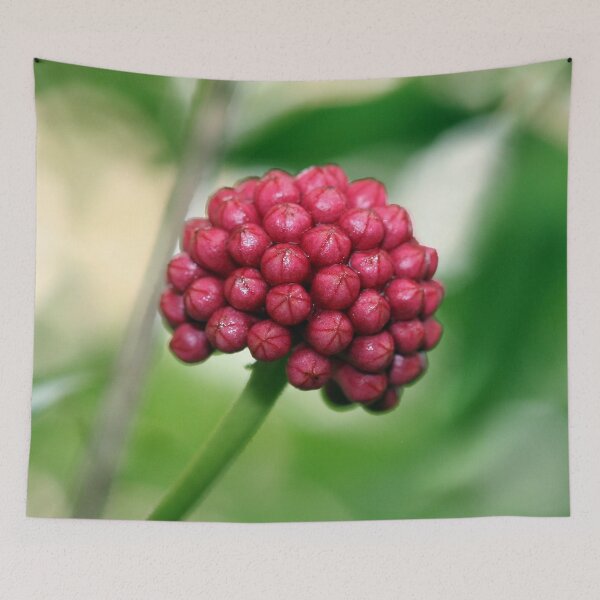 Item preview, Red Berri designed and sold by XCEEDTRANSITION.
