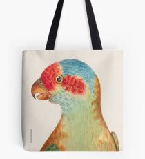 Musk Lorikeet Tote Bag