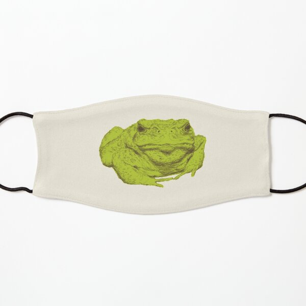 A Toad Named Ali Kids Mask