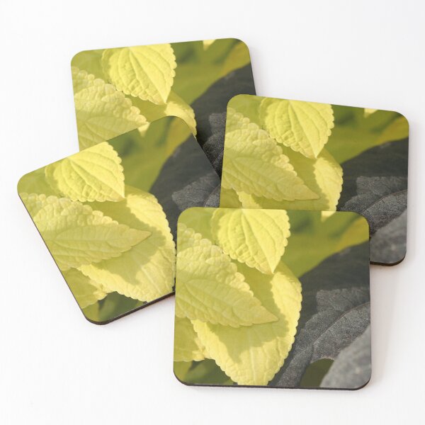 Item preview, Green / Black Leaves designed and sold by XCEEDTRANSITION.