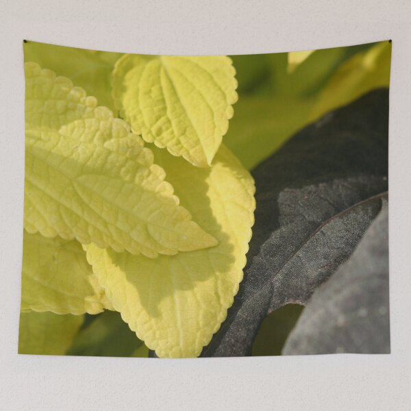 Item preview, Green / Black Leaves designed and sold by XCEEDTRANSITION.