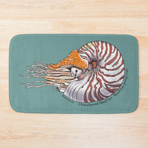 Item preview, Chambered Nautilus  designed and sold by mernstw.