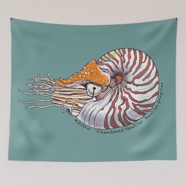 Item preview, Chambered Nautilus  designed and sold by mernstw.