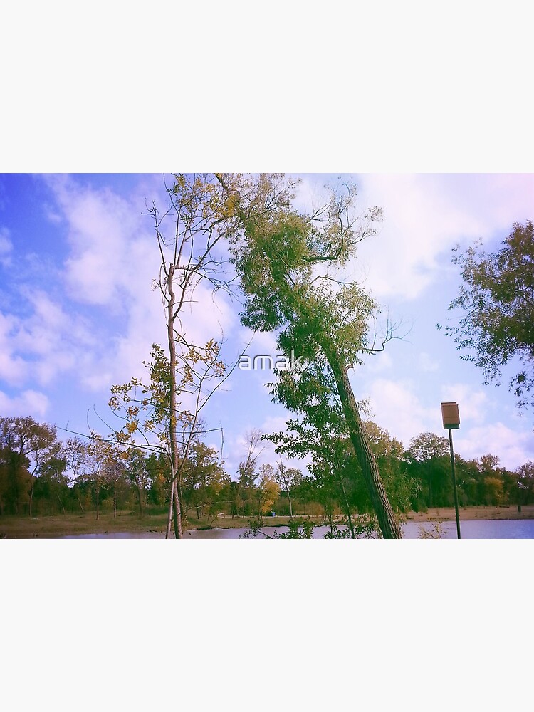Park by amak