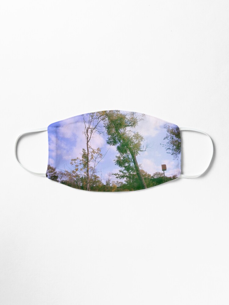 Alternate view of Park Mask