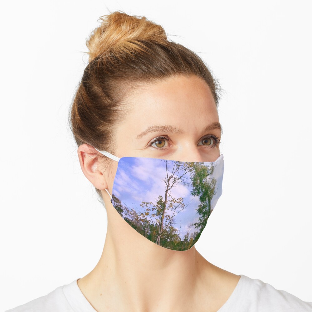 Park Mask
