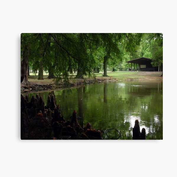 Item preview, Peaceful Park designed and sold by Carolyn  Fletcher.