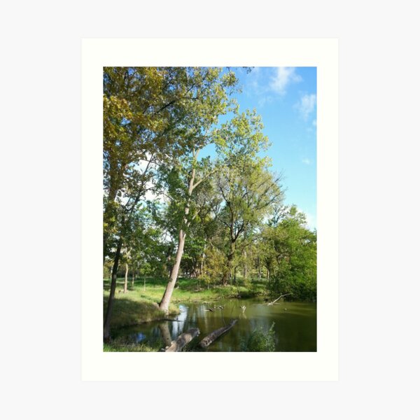 Park Art Print