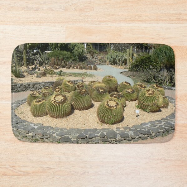 Item preview, Small Cacti, Parque de la Paloma, Benalmadena designed and sold by DRS-Edinburgh.