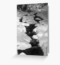 Chateauguay Stream Greeting Card