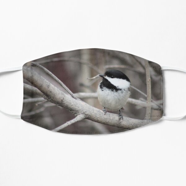 Chickadee Mask