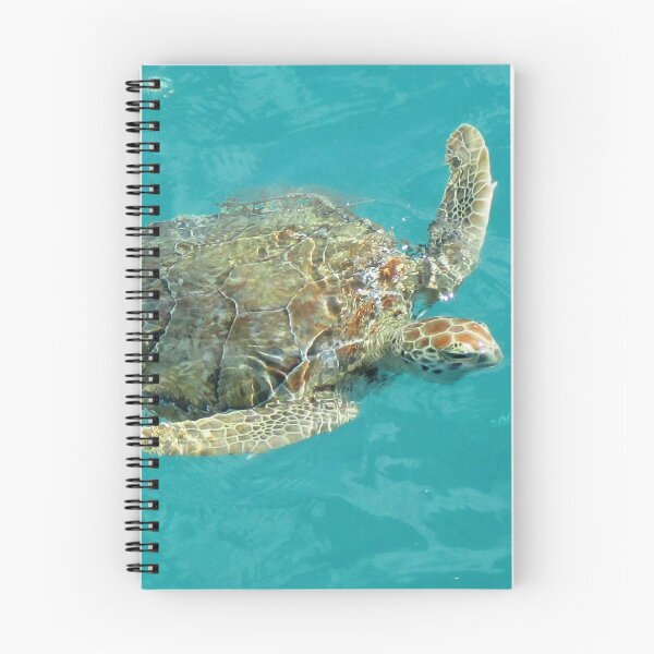 Item preview, Turtle in flight designed and sold by Ann Biddlecombe.