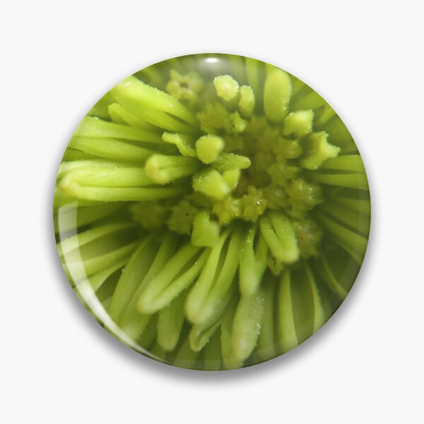 Aperçu de l'œuvre Marguerite verte créée et vendue par Pensieve.