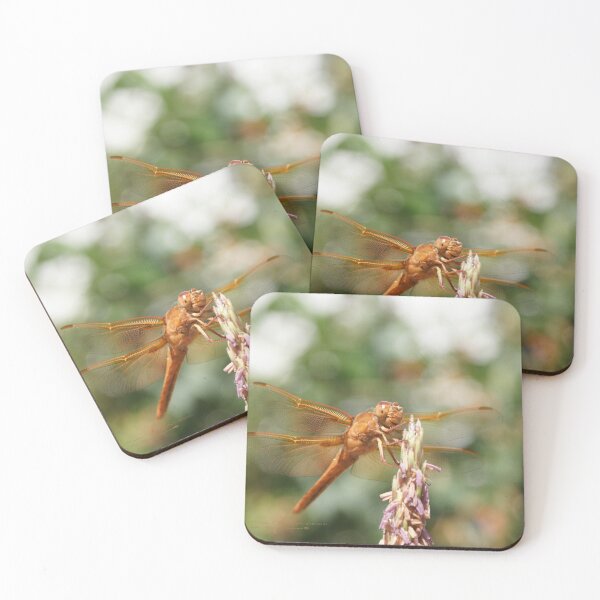 Item preview, Happy Dragon Fly; La Mirada, CA USA  designed and sold by leih2008.