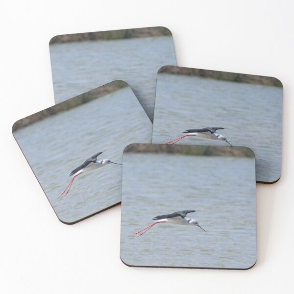 Item preview, Black-winged stilt in flight on the water designed and sold by brambillasimone.