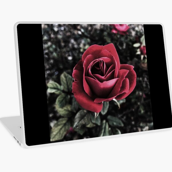 Winter Rose Laptop Skin