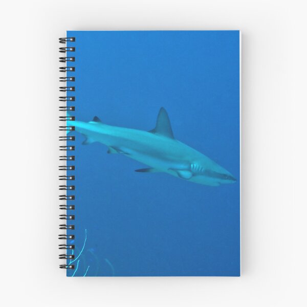 Item preview, Caribbean Reef Shark designed and sold by Amy McDaniel.