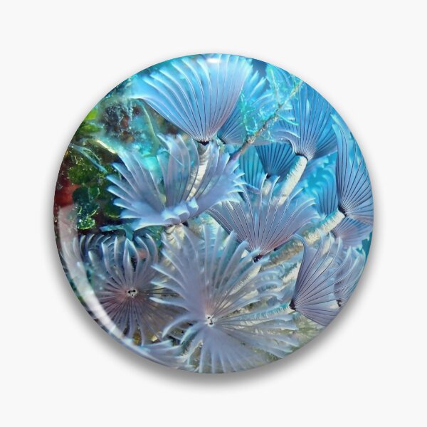 Item preview, Social Feather Duster Anemone on Coral Reef designed and sold by Amy McDaniel.