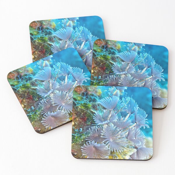 Item preview, Social Feather Duster Anemone on Coral Reef designed and sold by Amy McDaniel.