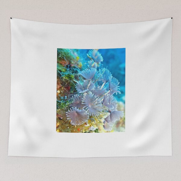 Item preview, Social Feather Duster Anemone on Coral Reef designed and sold by Amy McDaniel.