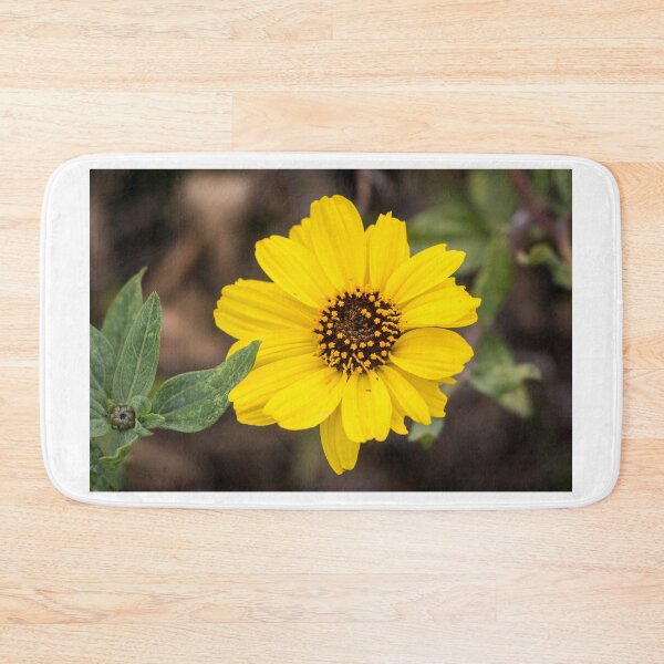Item preview, California Brittlebush designed and sold by Ian Christopher.