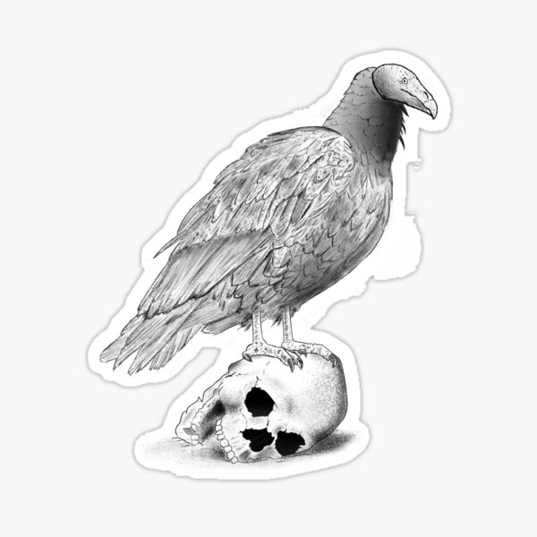 Flying Vulture Tattoos Designs