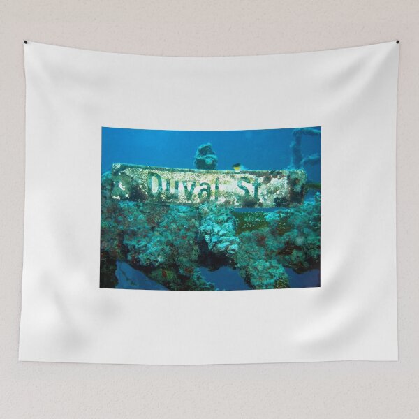 Item preview, Duval Street Underwater Sign at Vandenberg Wreck Site designed and sold by Amy McDaniel.