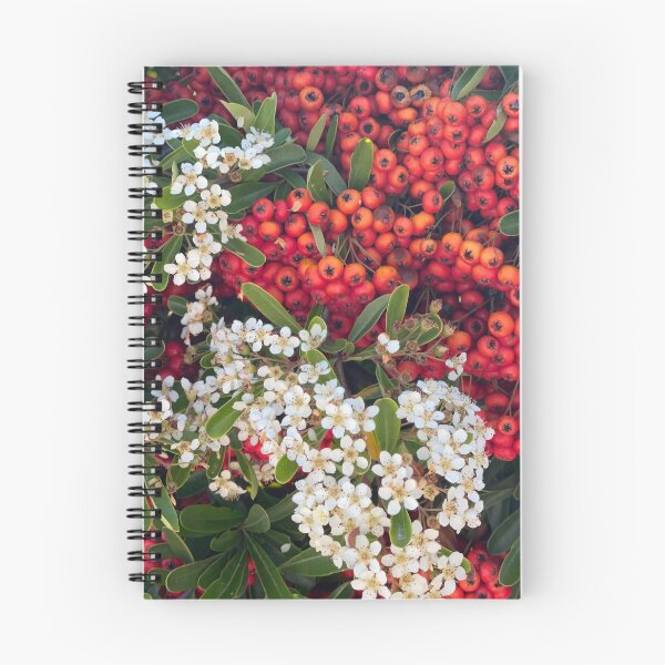 Item preview, Festive Flowers and Berries! designed and sold by NancyKHajjar.