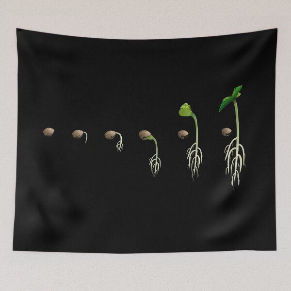 Item preview, Seeds designed and sold by tambustore.