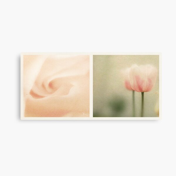 Spring Canvas Print