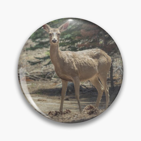 Item preview, California Mule Deer  designed and sold by Ian Christopher.