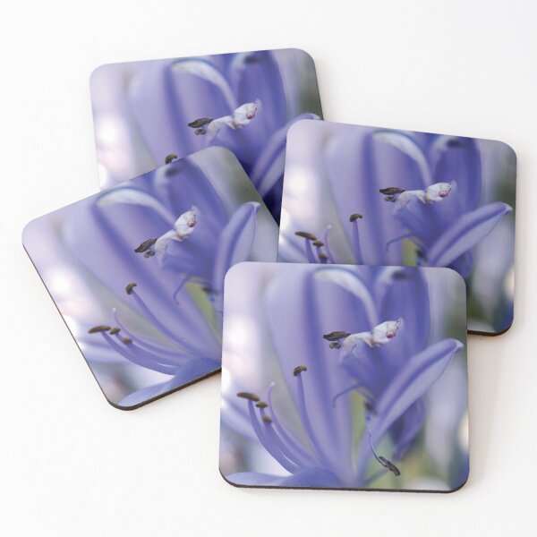 Item preview, Agapanthus designed and sold by Nicole Sumner.