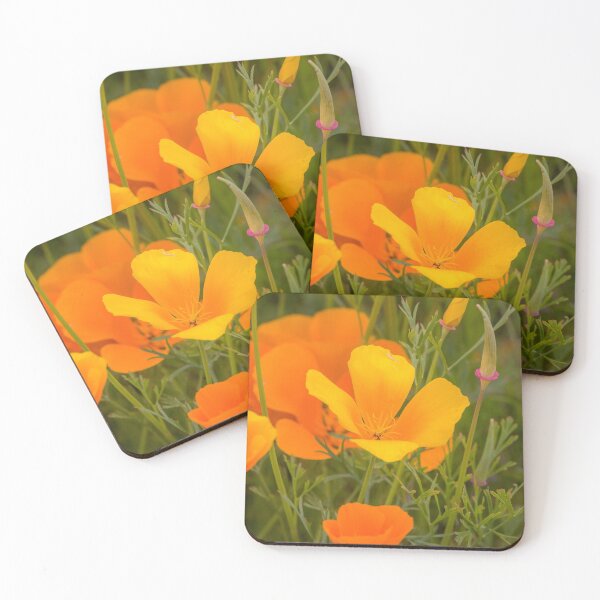 Item preview, California Poppy in Bloom designed and sold by Ian Christopher.