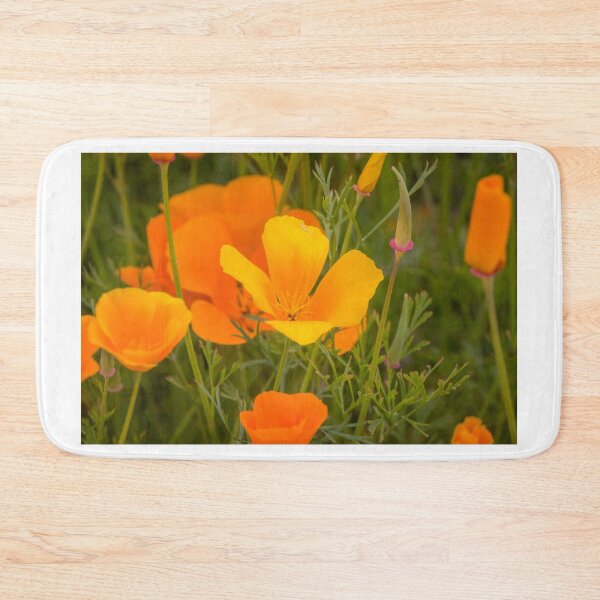 Item preview, California Poppy in Bloom designed and sold by Ian Christopher.