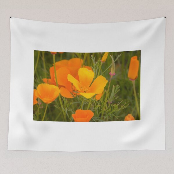 Item preview, California Poppy in Bloom designed and sold by Ian Christopher.
