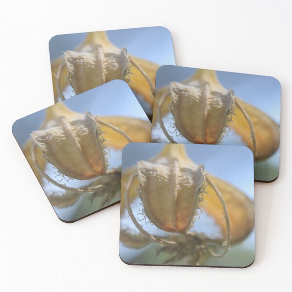 Item preview, Close designed and sold by Nicole Sumner.