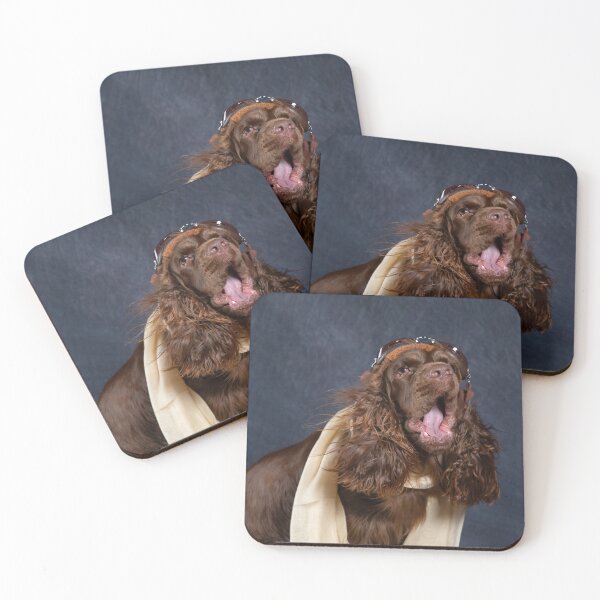 Item preview, Sussex Spaniel Aviator designed and sold by SMiddlebrook.