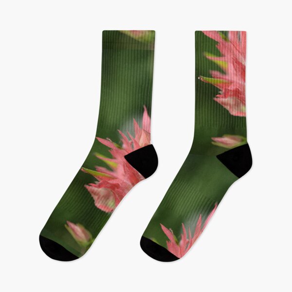 Aperçu de l'œuvre Conception de fleurs sauvages créée et vendue par macrodesign.
